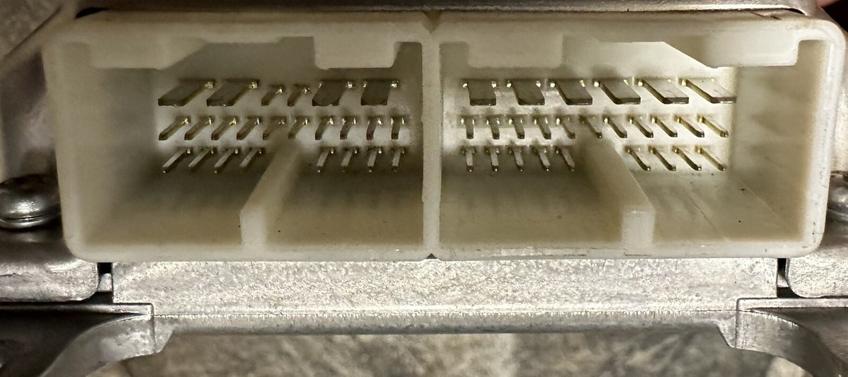 3点専用 PZZ80221.jpg