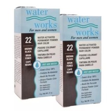 Water Works Permanent Powder Hair Color 22 Brown Black 2 Pack 