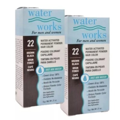 Water Works Permanent Powder Hair Color #22 Brown Black (2 Pack)