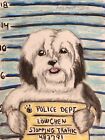 Löwchen Mug Shot Art Print 8x10 Dog Collectible Signed by Artist Ksams