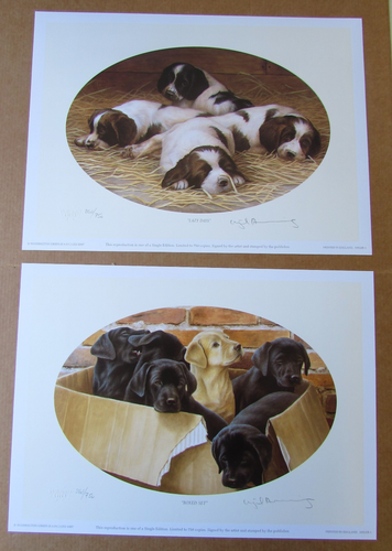 Nigel Hemming - Dog Tales Book - Limited Edition Book + 2 Prints, No.260 - Foto 7 di 7