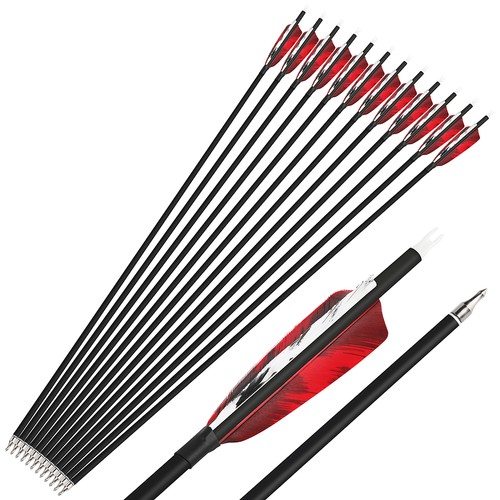 28" 30" 31" Carbon Arrows 4" Feather SP500 Archery Hunting Recurve Compound Bow - Picture 23 of 24