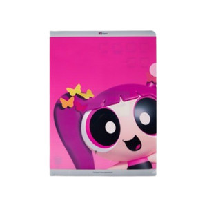 Newjeans x Powerpuff Girls Plastic File Folder Hanni