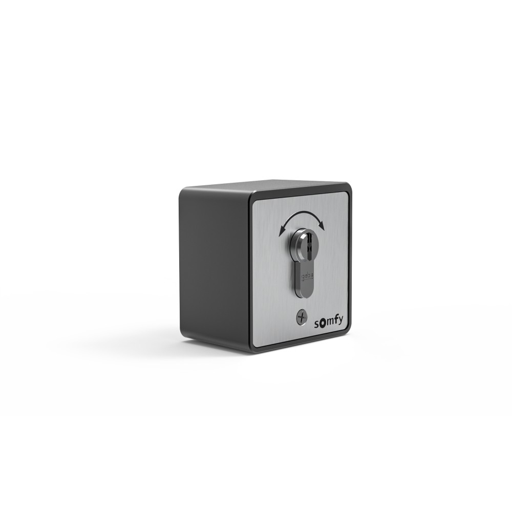 Somfy 1871148 Selettore a Chiave Esterno: Sicurezza per Serrande e Cancelli