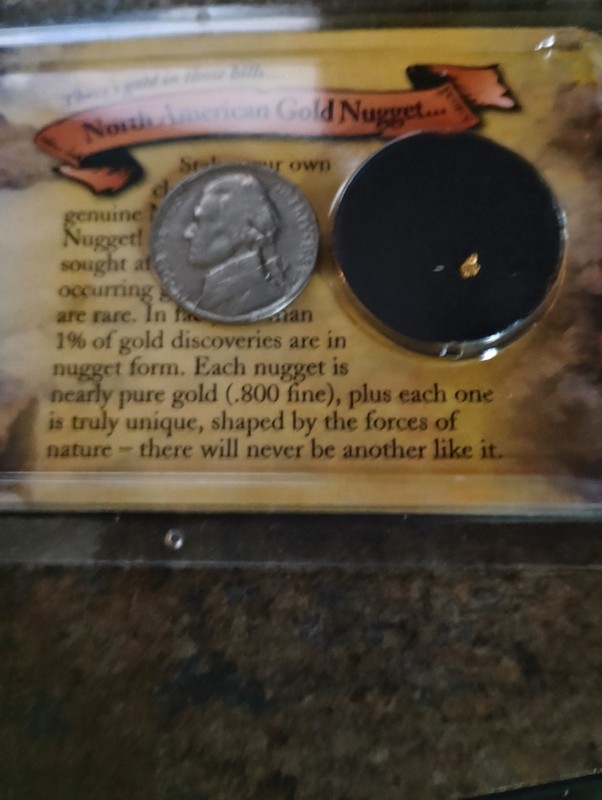 Authentic North American Gold Nugget .800 Fine 19.2 Kt