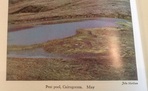 Life in Lakes & Rivers NN (No 15) 1974 - Picture 4 of 10