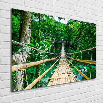 Glas-Bild Wandbilder Druck auf Glas 100x70 Sehenswürdigkeiten Brücke Regenwald
