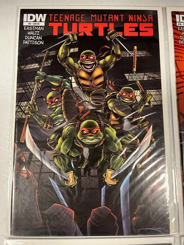 Teenage Mutant Ninja Turtles #9 Cover RI Variant 1:10 IDW 1st 2011 2012 TMNT