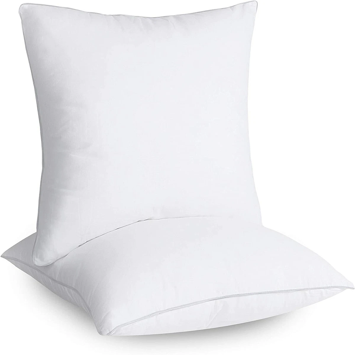 Trend frontier Utopia Bedding Throw Pillows Insert (Pack of 2, White