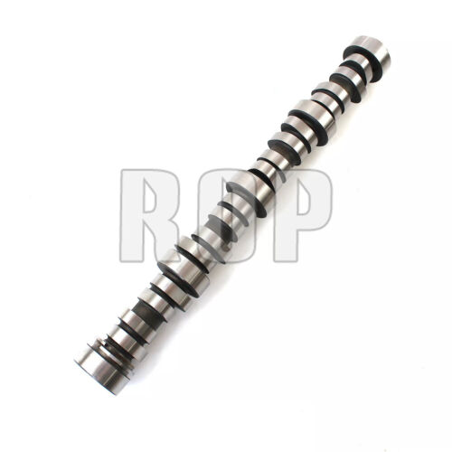 New E-1838-P Sloppy Stage 1 GM LS LS1 LS3 Hydraulic Roller Camshaft .560 Lift - Bild 4 von 12