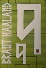 Flocage Officiel Braut HAALAND #9 Norvège Home Domicile  2026 Norway World Cup