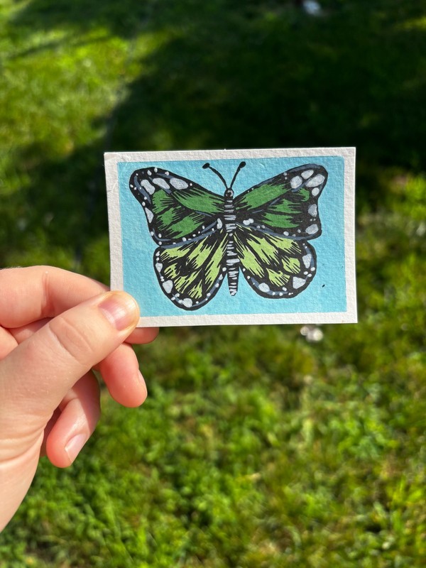 ACEO origional Painting, Acrylic Paint, Sulphrus Butterfly, 2.5inx3.5in