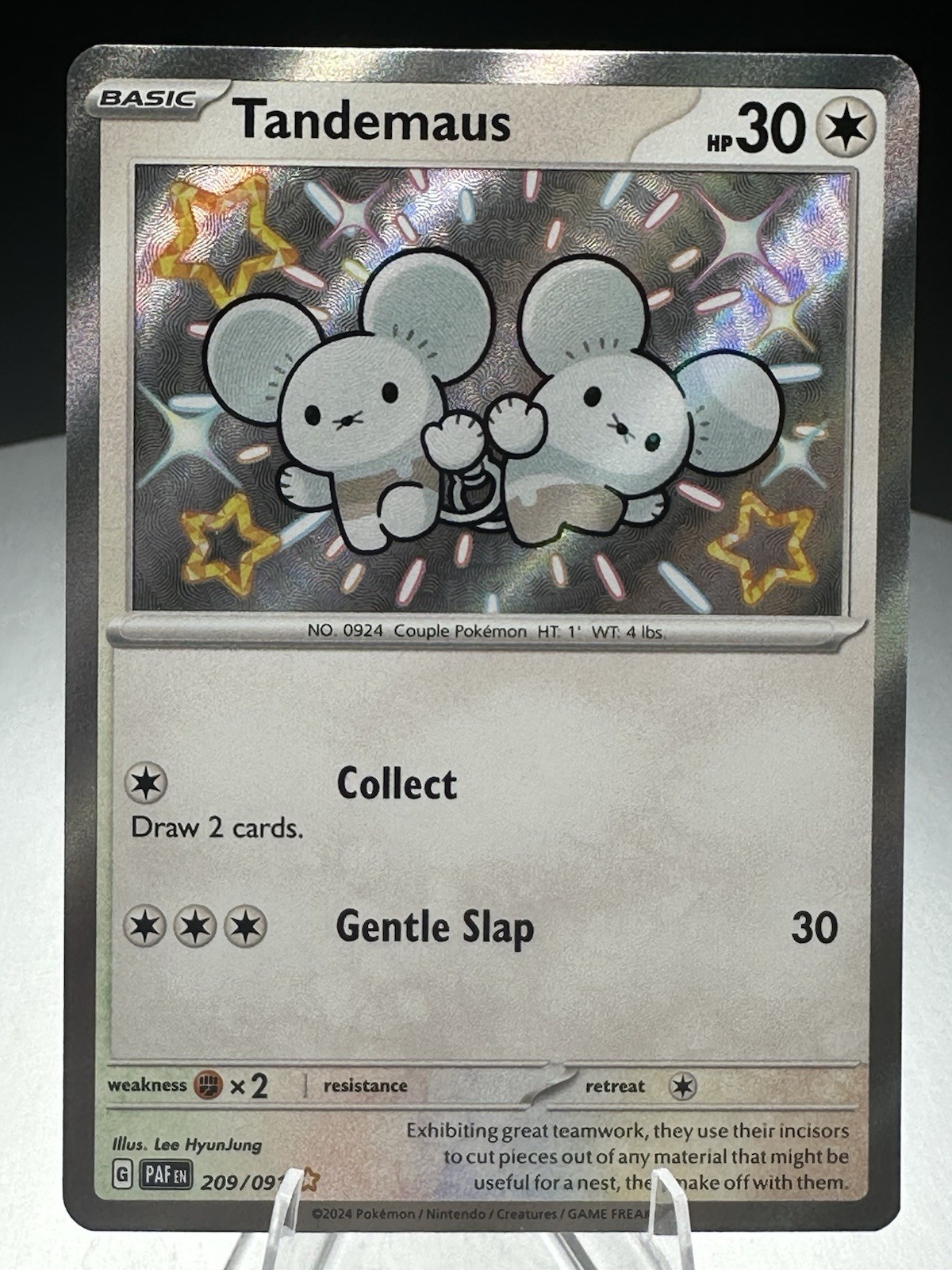 Tandemaus 209/091 Shiny Rare Paldean Fates Pokemon Card NM