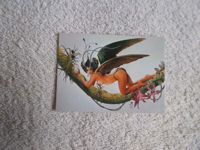 FPG: Angels & Amazons ''BARADIESVOGEL'' #64 S2 Chris Achilleos Trading Card