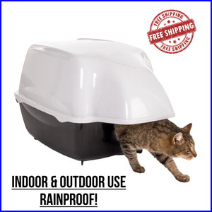 outdoor cat toilet