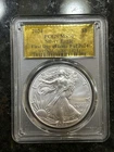 2024  American Silver Eagle - PCGS MS70 FDI - Gold Label 1 out of 2024