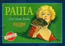 Santa Paula Paula Lemon Citrus Fruit Crate Label Art Print