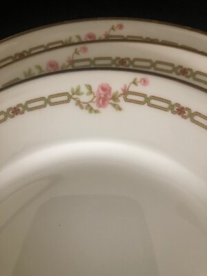 Haviland SCHLEIGER 1094-1 Bread/Salad/Dinner Plates Theadore NOS