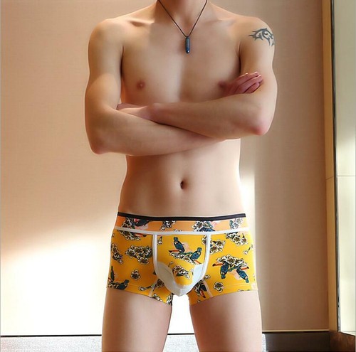 WJ Para hombres Elefante Poych U Convexos Boxer Calzoncillos Sexy Algodón Ropa Interior Cómoda - Imagen 5 de 13