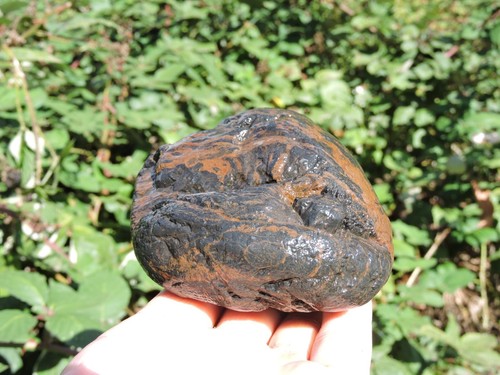 Set of Rare & UNUSUAL Oregon AGATE & Rhyolite Stone ROCK Nodules 2lbs+ total - Picture 22 of 24
