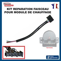 Connectique Connectic Heizmodul Vorbereitet FüR Boxer Jumper Ducato 1607508680
