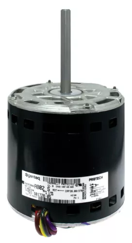 Protech Blower Motor - 1/2 hp 208-230/1/60 (1075 rpm/2 speeds) - 51-101728-05