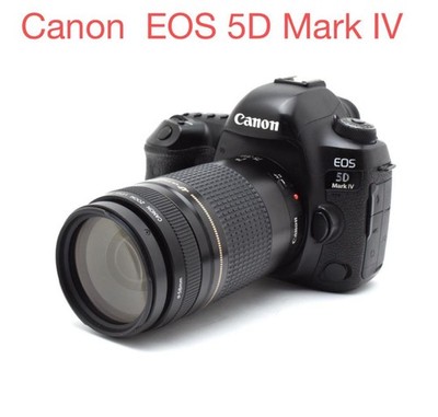 Canon EOS 5D Mark IV DSLR Camera with Canon EF 75-300mm Lens Excellent Condition