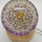 Bild 6 von 10