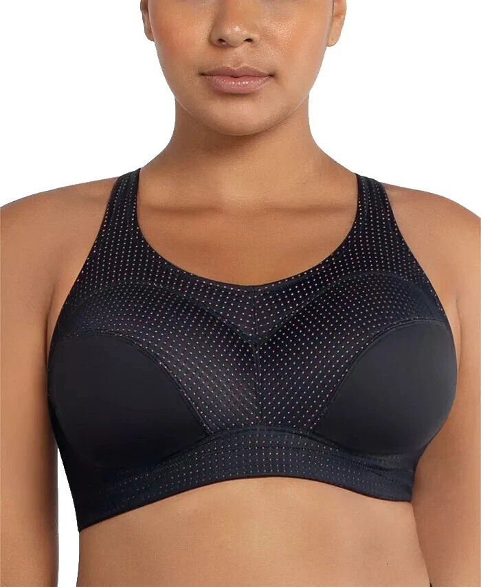 Plus Size 34 Band Sports Bras