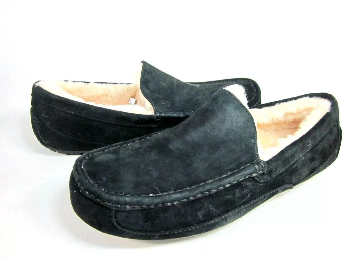 Mens ugg ascot slippers shop size 13