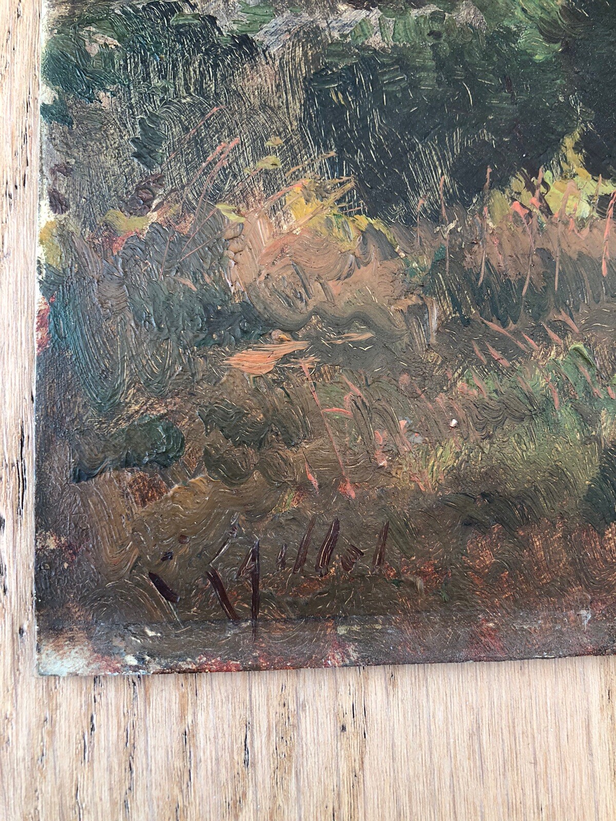 Picture 2 of 6