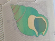 Vintage 1980’s Pearly Shiny 2” Shell Sticker