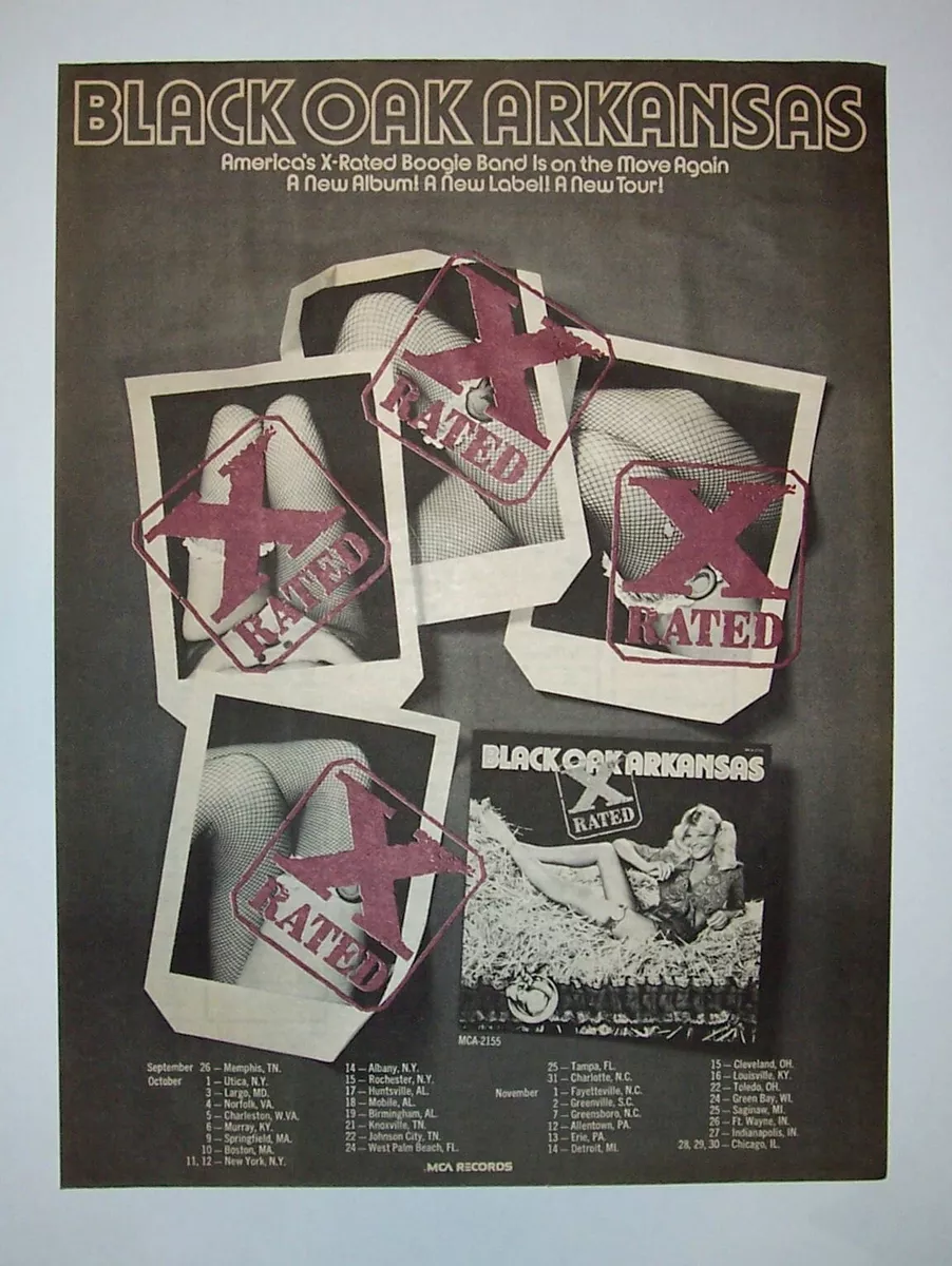 The Art of Punk Rock - Toledo City Paper