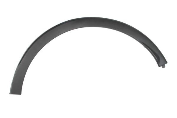 Left Rear BLIC 5703-04-6009597P Trim/Protection Strip, wing for RENAULT