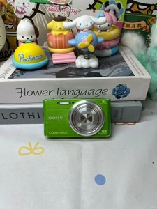 SONY Cyber-shot DSC-W730 16.1MP CCD Vintage Digital Camera -Green