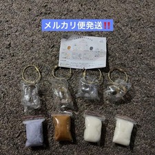 Uchinoko Keda Madama Brown Torasham Calico Mackerel Tiger 4 piece set #72f8c7