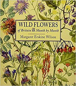 Wild Flowers of Britain: Month by Month by Not Available (Hardcover, 2016) - Image 11