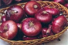 Cebolla roja Yalta, 300 cebolla seёds, seёds orgánicos #169+TRACK №