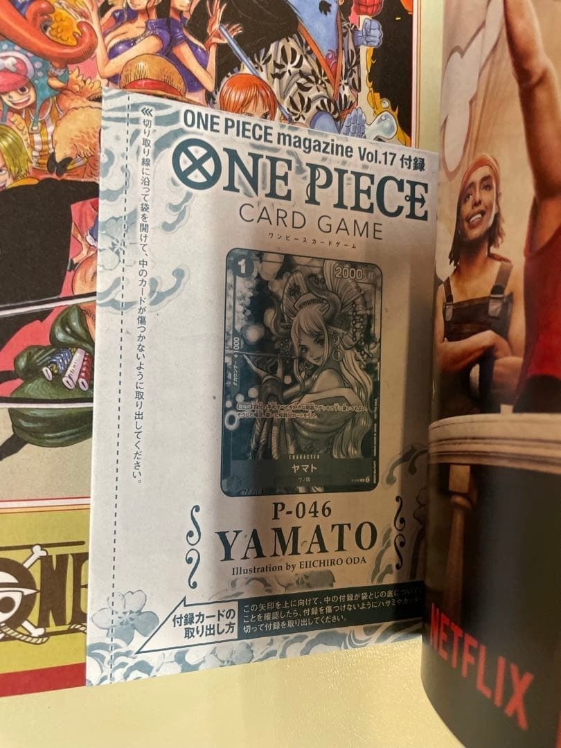 ONE PIECE Magazine Vol.17 2023 Yamato Card Included From Japan New