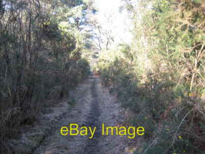 Photo 6x4 Stanford Common Littlefield Common This well-used gorse-lined f c2008