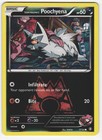 Team Magma's Poochyena 17/34 Double Crisis