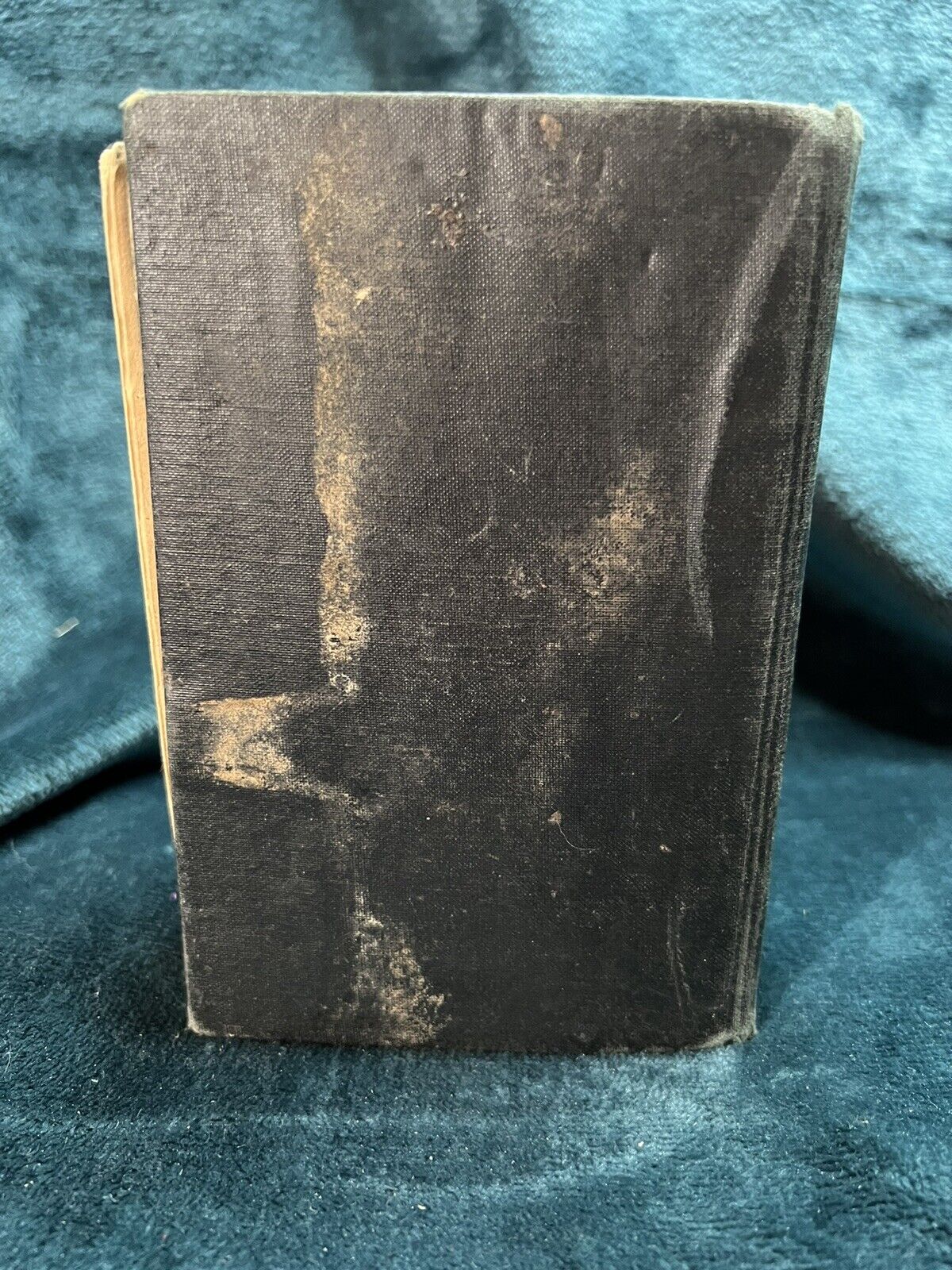 Picture 3 of 5