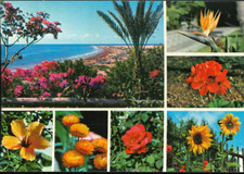 Espana - Spagna - Gran Canaria - San Bartolomé de Tirajana - Playa del Inglés -