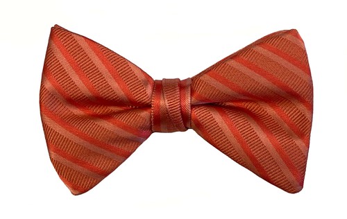 Boys Striped Bow Tie Adjustable Pre-Tied Silver Red Green Blue Pink Purple Black - Picture 32 of 32