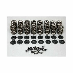 lunati valve spring kit voodoo spring retainer lock kit ebay lunati valve spring chart