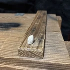 Civil War Bullet Battle Of Chancellorsville Relic! Fired pistol!