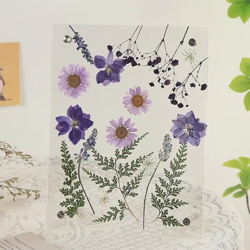 Double-Sided Glass Picture Frame DIY Photo Frame Home Decor - Picture 5 of 8