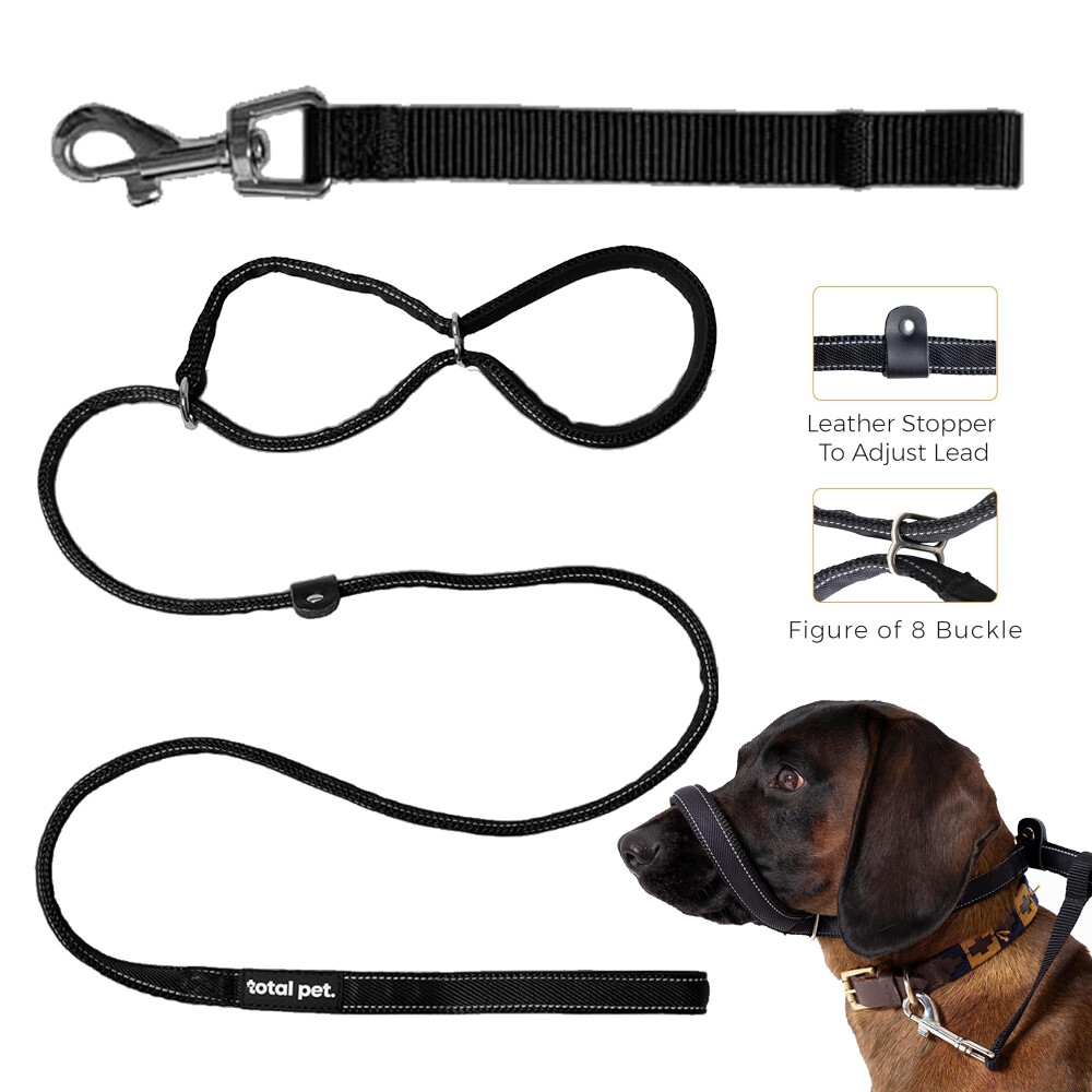 Figure of Dog Lead Pulling Slip Leads-Anti Pull Dog Lead Stop