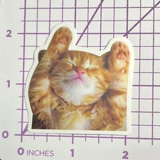 Dreaming Orange Striped Kitty - Vinyl Sticker Decal Sticker Bomb Humor Funny