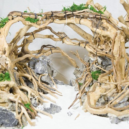 1 pièce bois tronc naturel bois flotté arbre aquarium aquarium aquarium décoration aquarium - Photo 12/15
